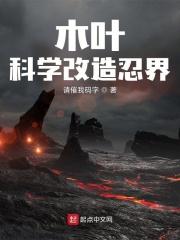 木叶之科技模板123