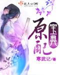 原配宝典TXT