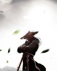 天龙武神决百科