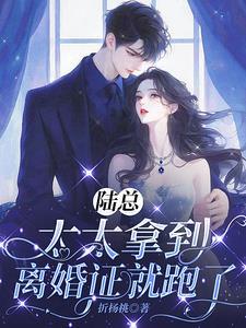 免费阅读陆太太又在闹离婚