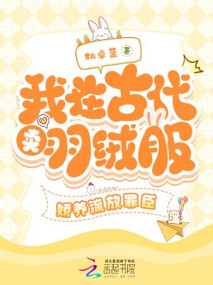 我在古代卖零食作者佐川川