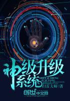 神级升级系统顶点