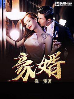 豪婿叶凡唐若雪