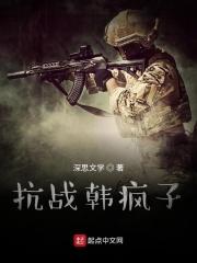 抗战韩疯子免费阅读