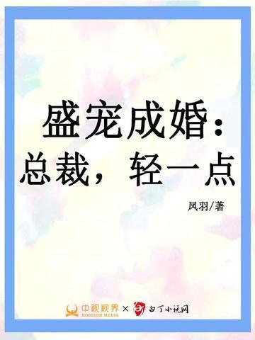 宠妻至上总裁轻一点