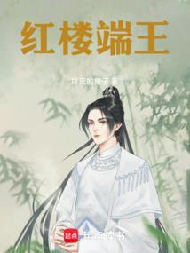 红楼端王笔趣阁无防盗