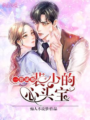 裴少偏宠的替身娇