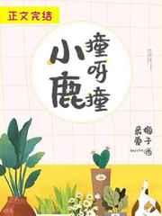 书名小鹿撞呀撞