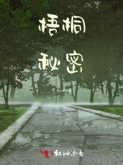 梧桐树下的秘密