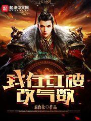 我在红楼改气数评论