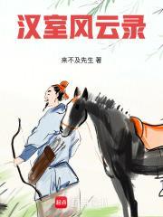 汉室风云录 有声