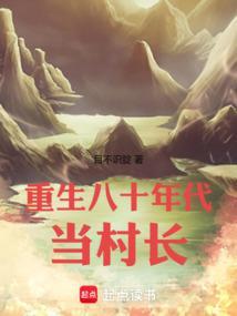 重生八十年代当村长笔趣阁