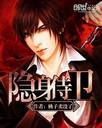 隐身侍卫张易全集