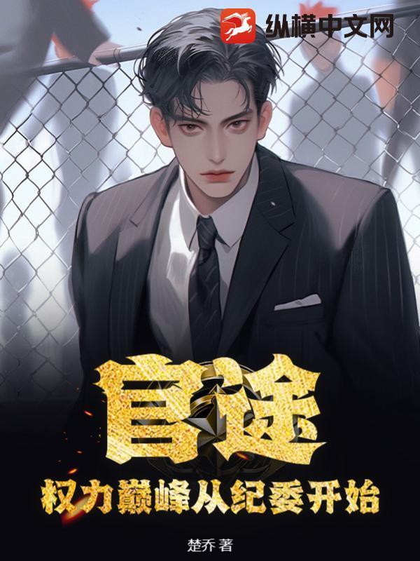 权力巅峰是什么样的书