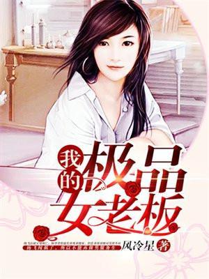 我的极品女老板简介