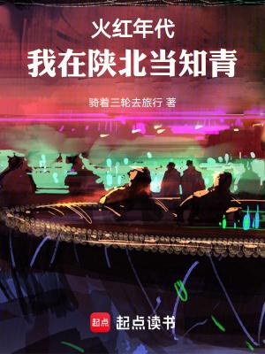 我在陕北当知青无防盗