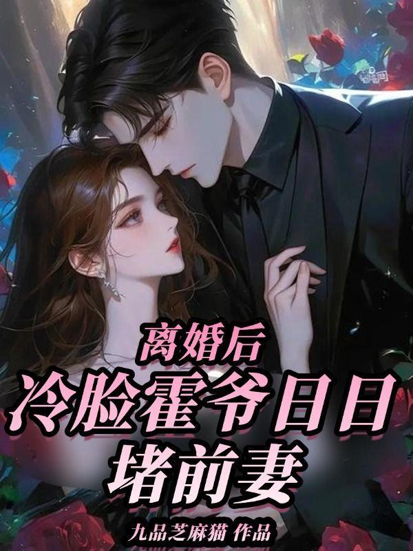 离婚后再遇迟晚霍擎川