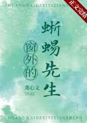 窗外的蜥蜴先生免费阅读