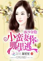 权少掠爱权妻宠上天