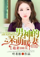 男神追妻99次