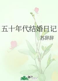 五十年代结婚日记全文免费阅读