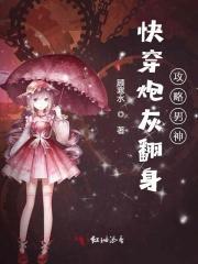 快穿炮灰翻身记付流水