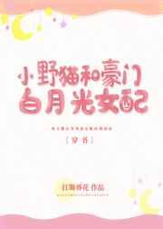 小野猫无防盗章