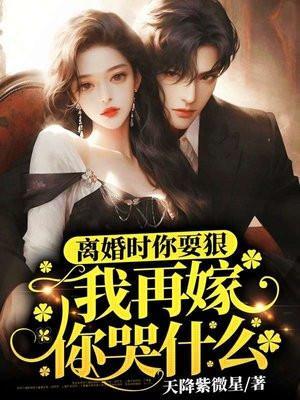 我再嫁你哭什么意思