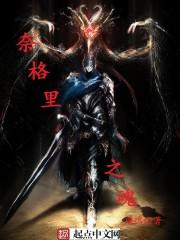 奈格里之魂讲的什么