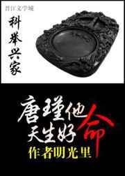 科举兴家唐瑾他天生好命60