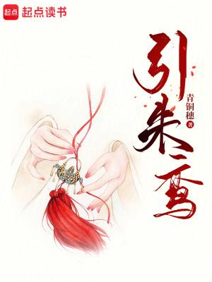 引朱鸾txt