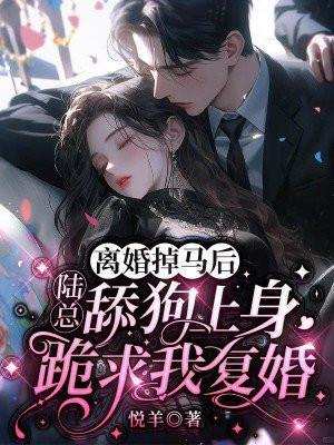 离婚后陆少追妻火葬场免费阅读