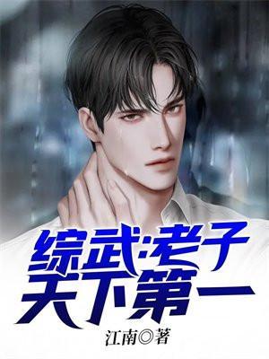 综武老子天下第一免费阅读