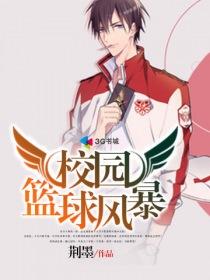 校园篮球风暴身高