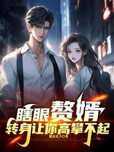 瞎子全文免费目录