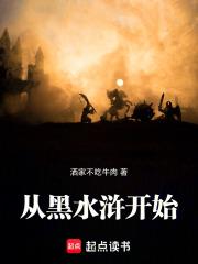 从水浒开始崛起