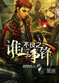 不良之谁与争锋txt全集