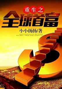 重生之全球首富李思妍的结局