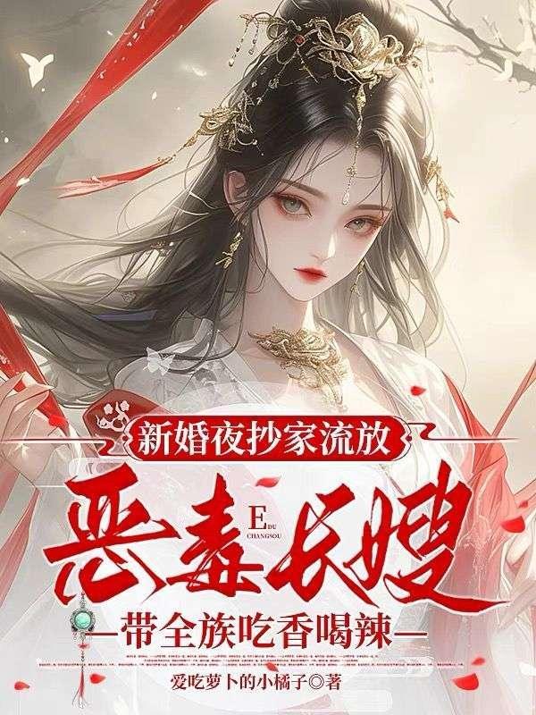 新婚夜抄家流放