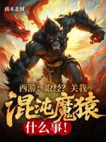 西游混沌魔猿身