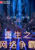 重生之网络争霸(天下第一白)顶点