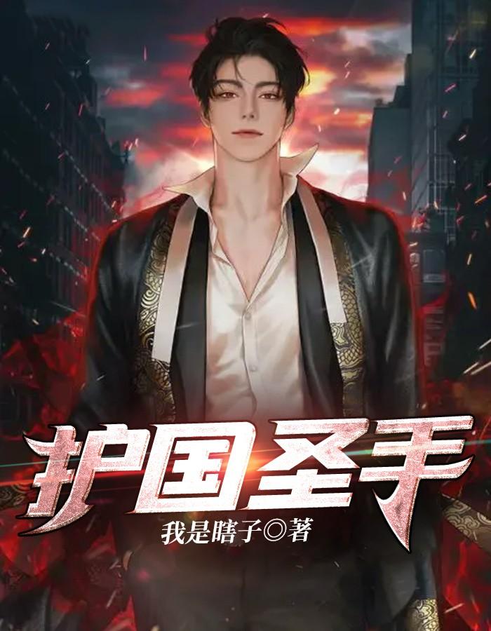 护国圣手是什么意思