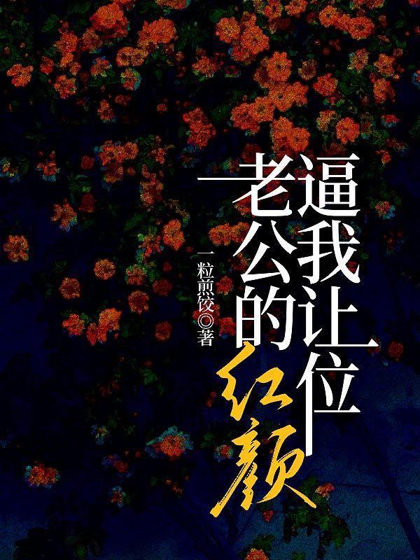 老公的红颜知己