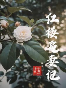 林黛玉先婚后爱同人