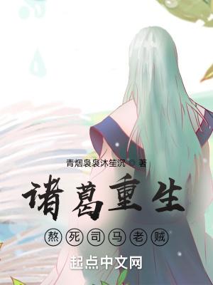 诸葛亮重生在都市