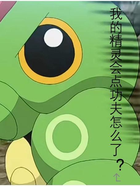 我的精灵会武功