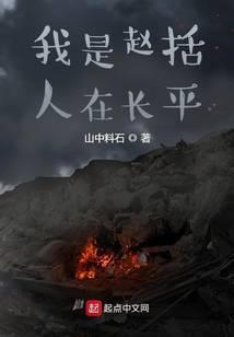我是赵括人在长平笔趣阁