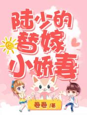 陆少夫人又把我拉黑了