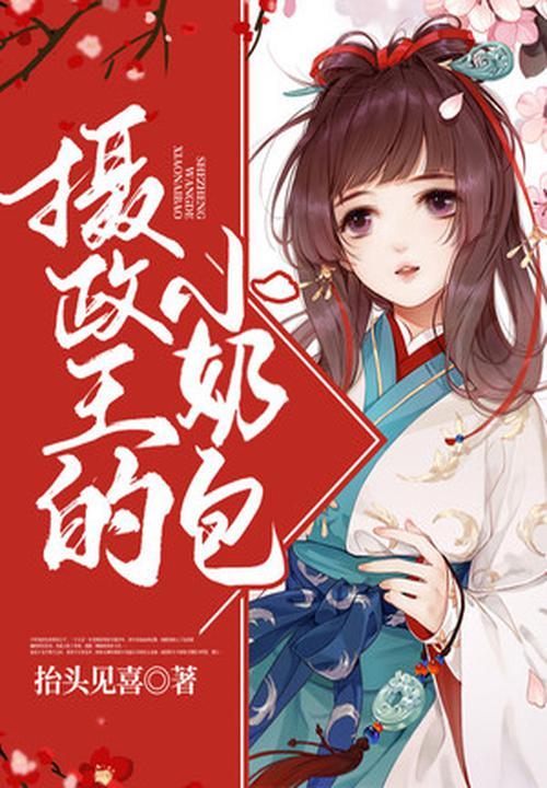 摄政王与小奶包的古言文