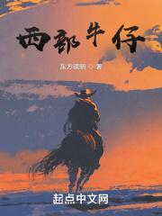 西部牛仔烬多少钱